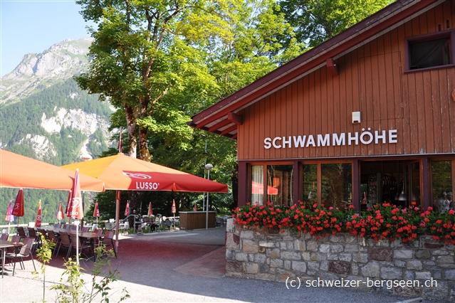 bilder/03/restaurant-schwammhoehe.jpg