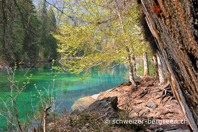 bilder/03crestasee.jpg