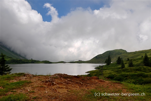 Trüebsee